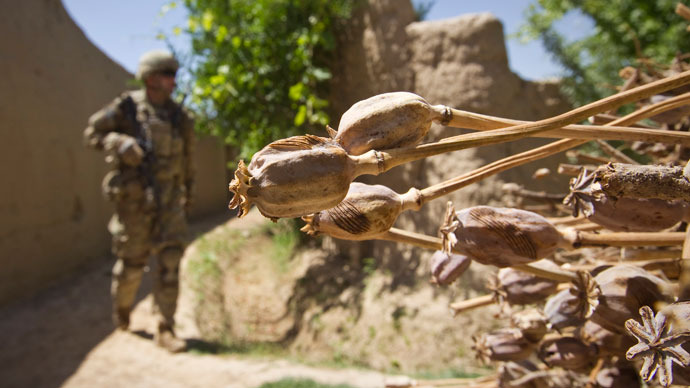 U.S. army soldier of the Battle company, 1-508 Parachute Infantry battalion, 4th Brigade Combat Team, 82nd Airborne Division, walks past cropped opium poppies during a patrol in Zahri district of Kandahar province, southern Afghanistan.(Reuters / Shamil Zhumatov)