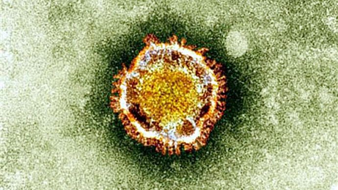 Este folleto sin fecha, imagen cortesía de la Agencia de Protección de la Salud británica muestra el Coronavirus visto bajo una miscroscope electrón.  Las autoridades sanitarias francesas dijeron temprano el 12 de mayo de 2013. (AFP Photo / Agencia de Protección de la Salud británica)