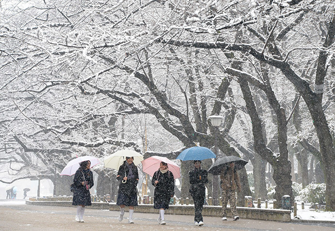 Students walk under snow covered trees at a park in Tokyo on February 14, 2014. (AFP Photo / Toru Yamanaka)