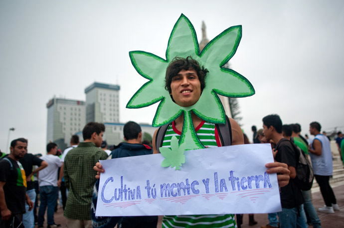 An activist takes part in a march demanding the legalization of marijuana in San Salvador, El Salvador on May 3, 2014.(AFP Pho to/Jose Cabezas)