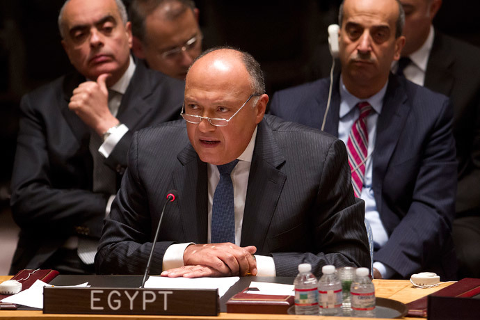 Egyptian Foreign Minister Sameh Shoukry speaks during a United Nations Security Council meeting about the situation in Libya in the Manhattan borough of New York February 18, 2015. (Reuters / Carlo Allegri)