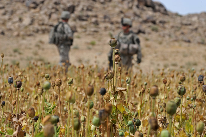 US soldiers from 4th platoon Alpha company 5/2 ID Stryker Brigade Combat Team (SBCT) 1-17 infantry batallion patrol near a poppy field in Shahwali Kot district Kandahar on May 11, 2010. (AFP Photo / Tauseef Mustafa) 