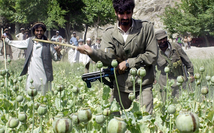 An Afghan government official (L) and two Afghan National Army soldiers (C and R) cut down opium poppies in Bihsood district, some 25 kms north of Jalalabad , 08 April 2004. (AFP Photo / Shah Marai)